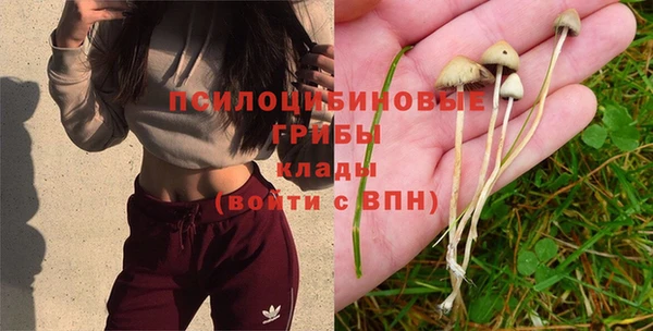 соль курить ск Алзамай