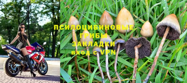 apvp Алексеевка