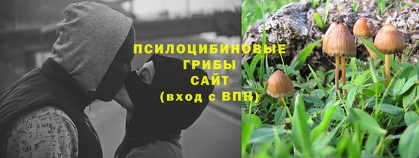 соль курить ск Алзамай